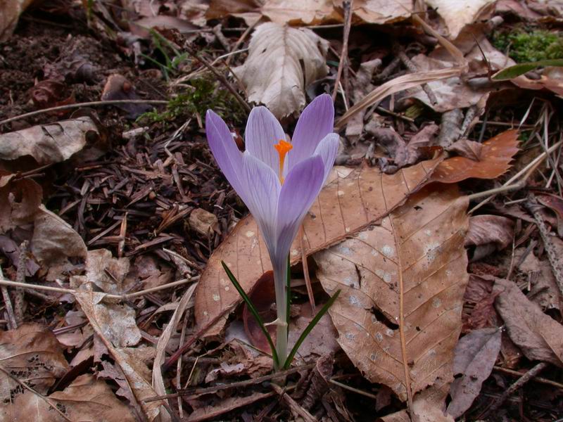 Prima escursione in montagna